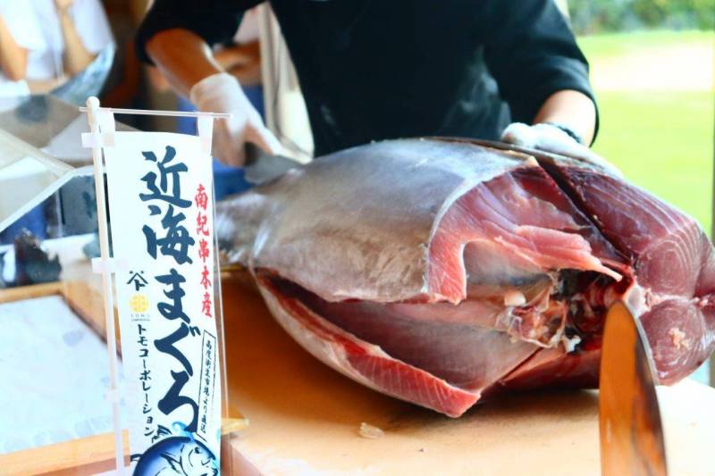 【 9月 】鮪解体ショー開催のお知らせ